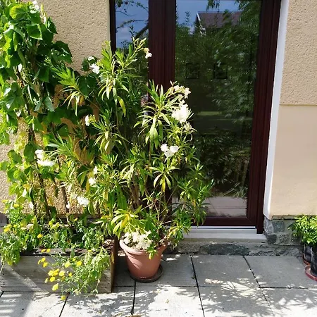 Pansiyon U Lazni Bludov (Sumperk)